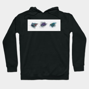 Snow Line Collection Hoodie